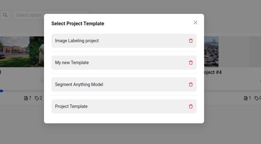 Project template